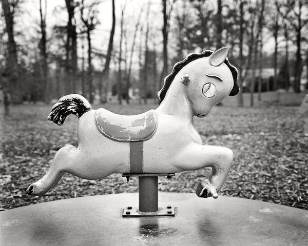 Roman Coia photograph copyright 1997 "Horse 1 at Everhart Park, West Chester".